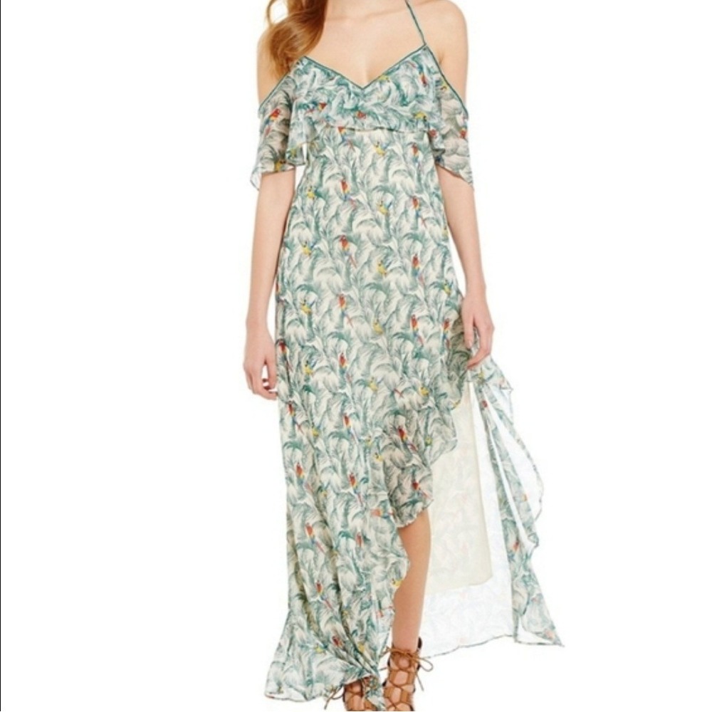 Anthropologie Chelsea & Violet Ruffled Palm Parrot Print Dress Size S‎